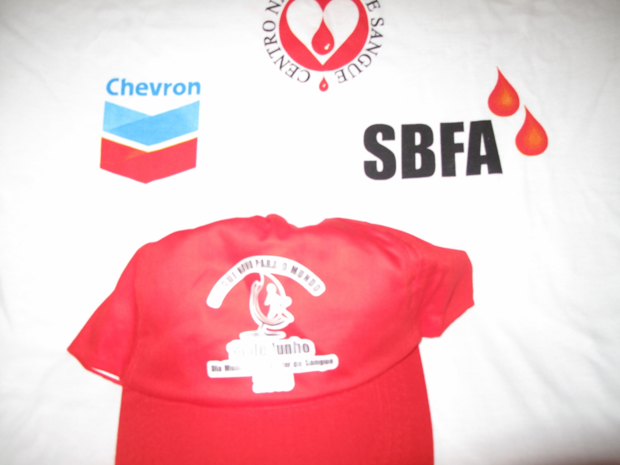 SBFA_DianeCameraAngola20103471280x960.jpg